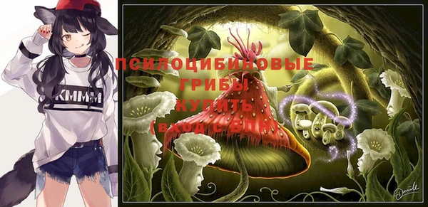 ешки Волосово
