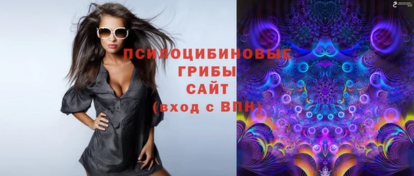 ешки Волосово