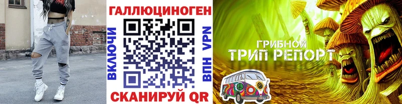 Галлюциногенные грибы MAGIC MUSHROOMS  купить  цена  Истра 